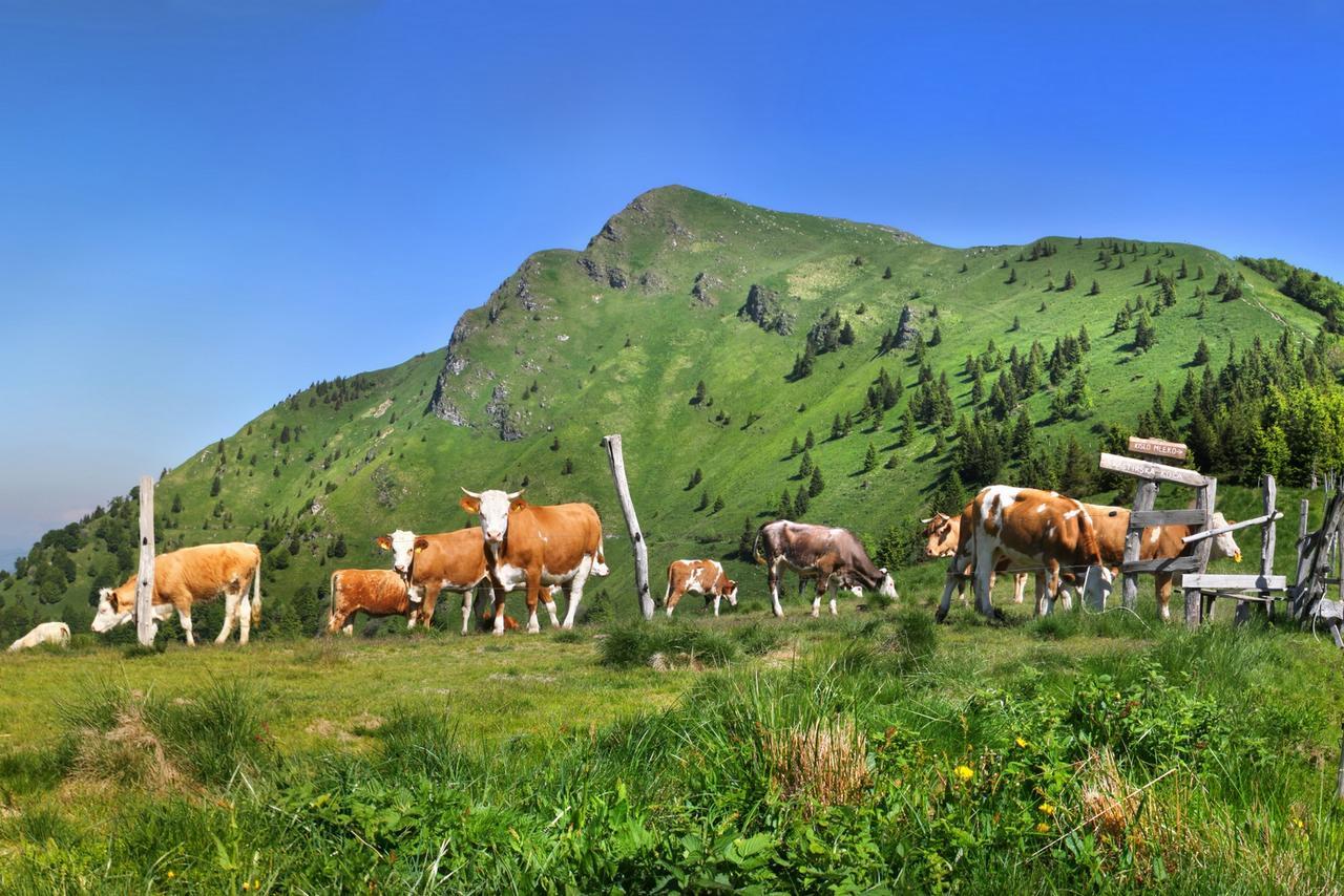 Prenocisca Cerkno Exterior photo