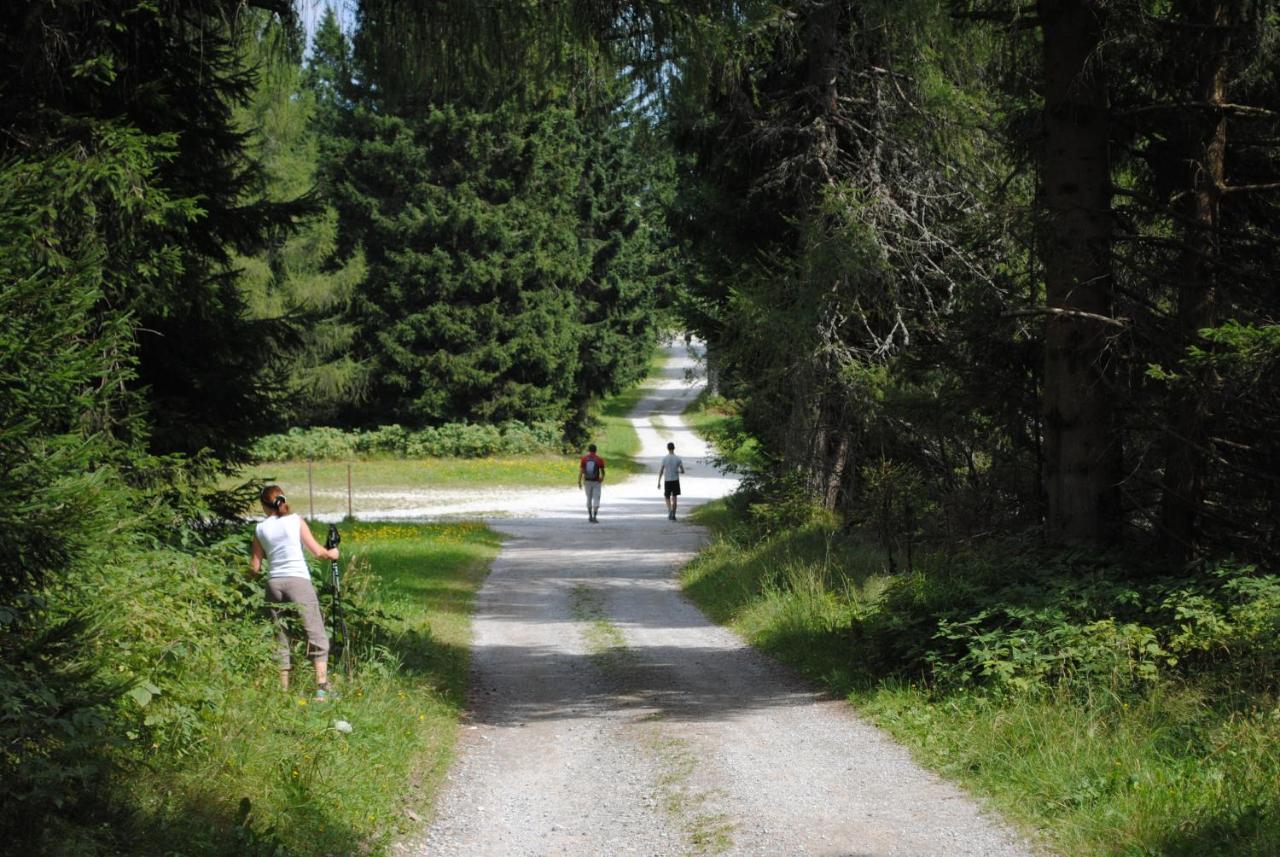 Prenocisca Cerkno Exterior photo